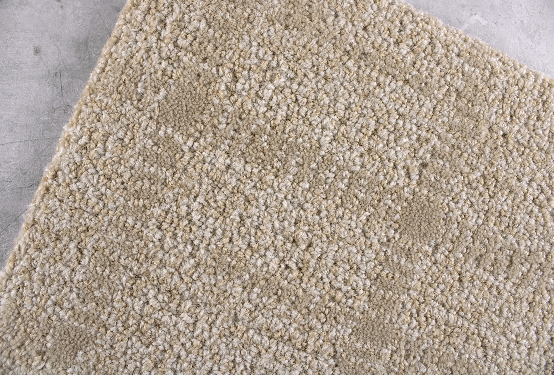 (QS) Erratic Path Detail